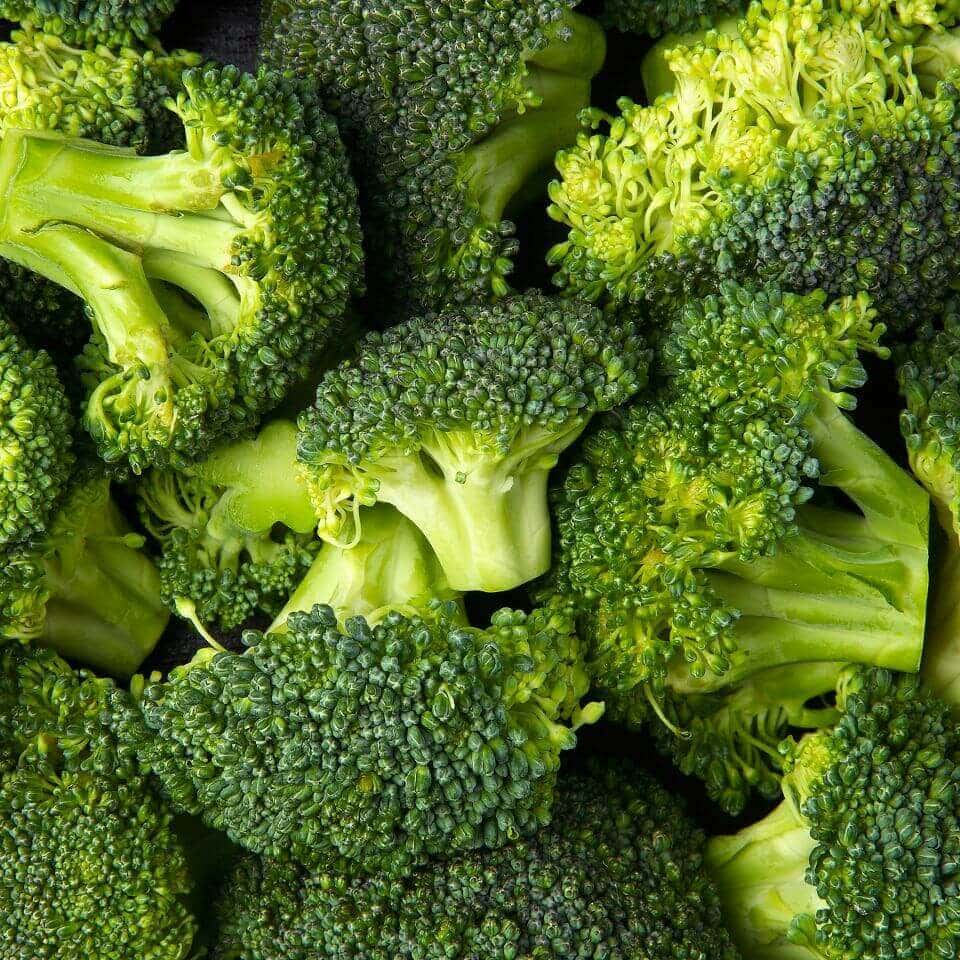 Steamed broccoli