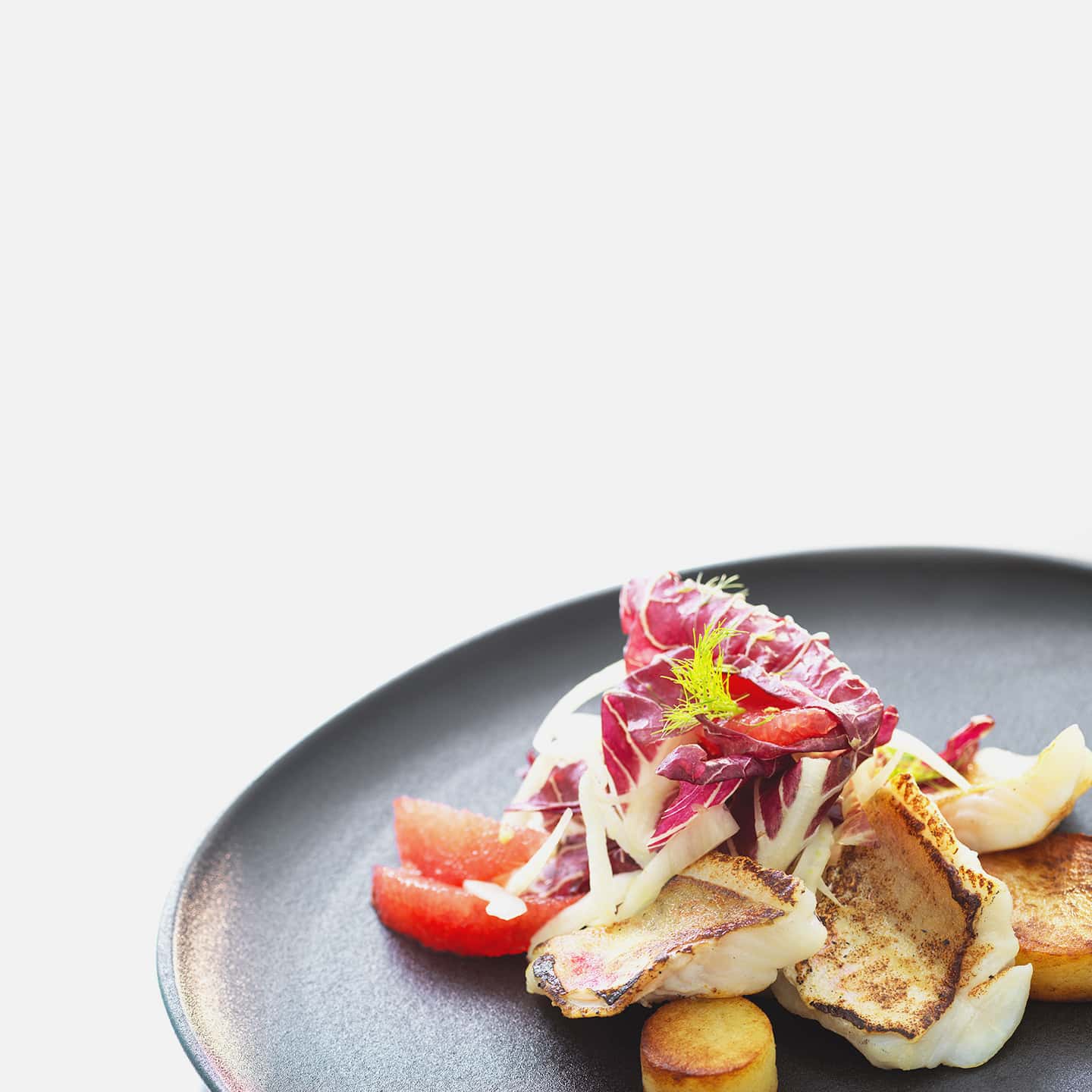 The recipes of the great chefs