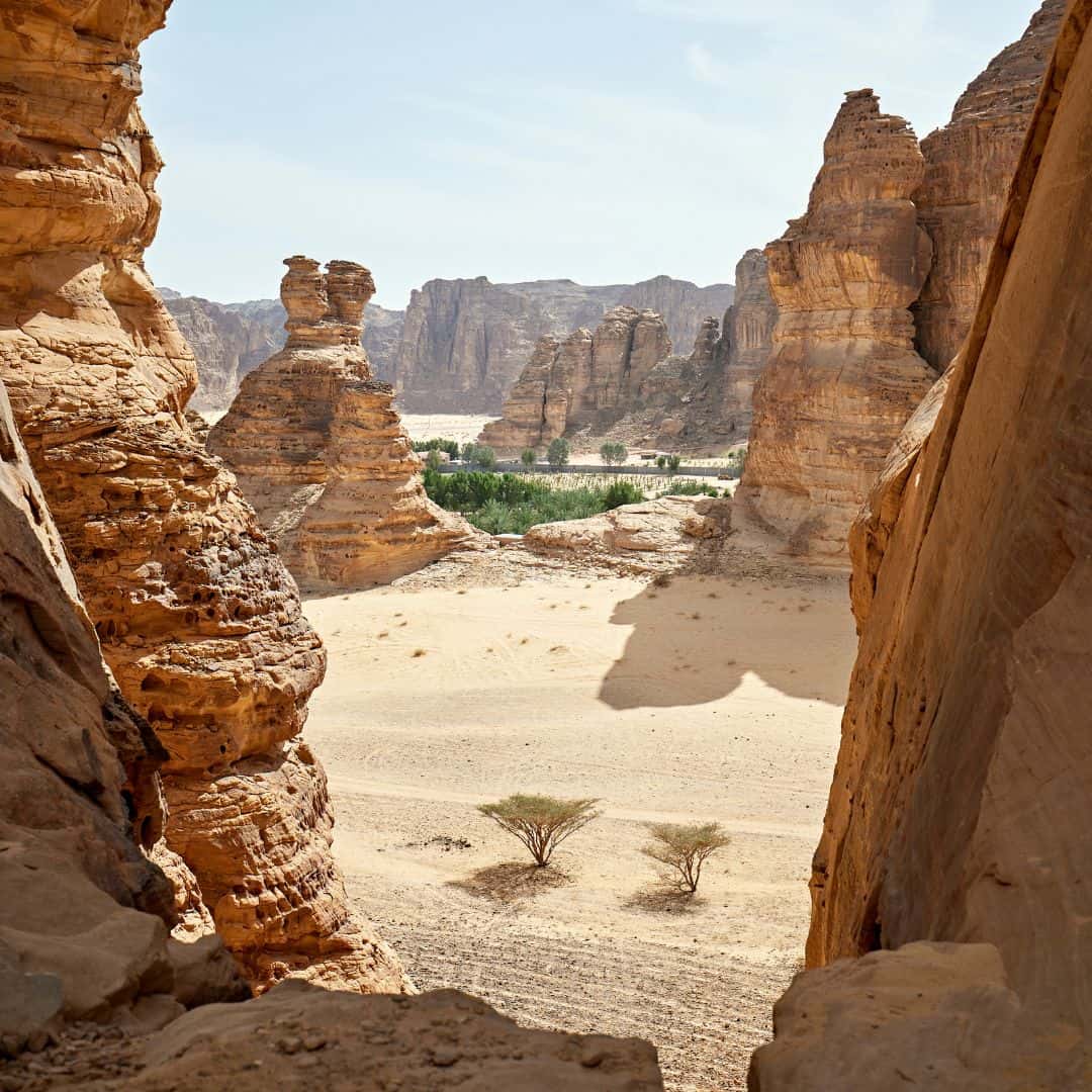 AlUla - Saudi Arabia
